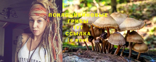 сатива Баксан
